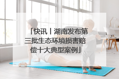 快讯丨湖南发布第三批生态环境损害赔偿十大典型案例